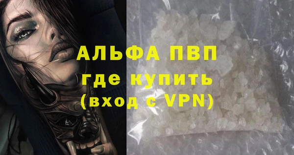 стафф Новодвинск