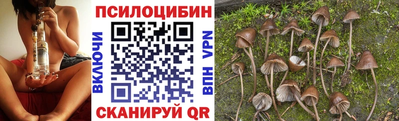Псилоцибиновые грибы мицелий  Ханты-Мансийск 
